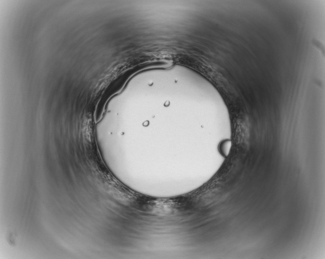 X0000102250612200808151819