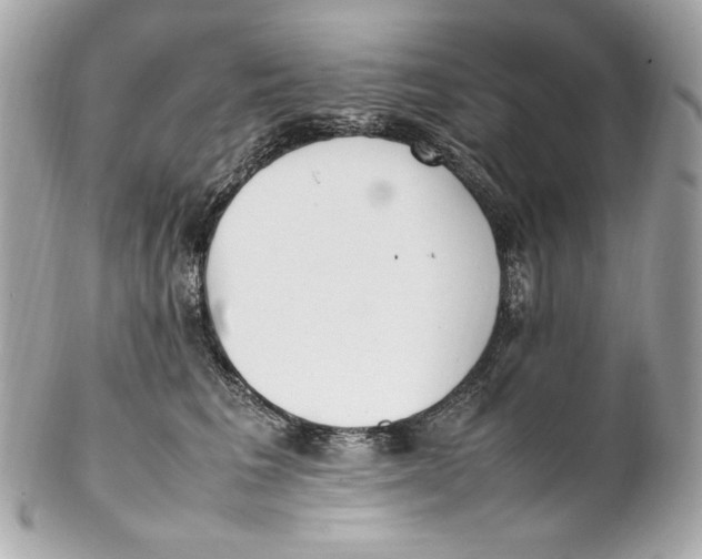 X0000102250613200808151819