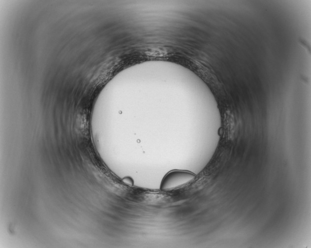 X0000102250614200808151819