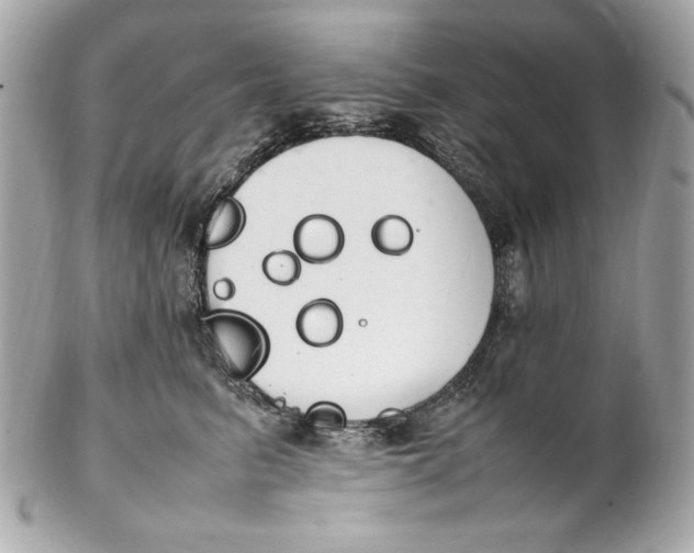 X0000102250615200808151818