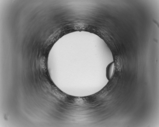 X0000102250616200808151818