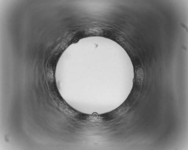 X0000102250617200808151818