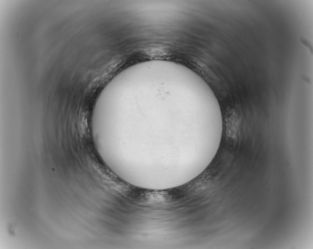 X0000102250618200808151818