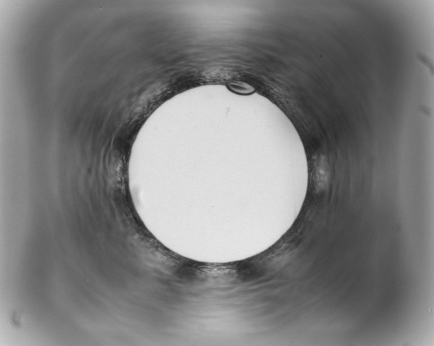 X0000102250619200808151818