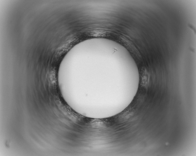 X0000102250620200808151818