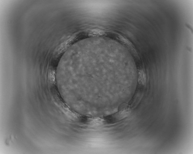 X0000102250621200808151818