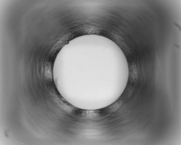 X0000102250622200808151818