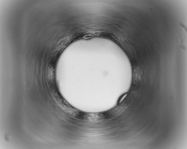 X0000102250623200808151818