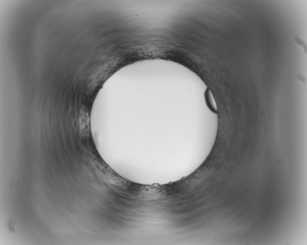 X0000102250624200808151818