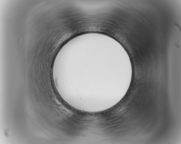 X0000102250625200808151818