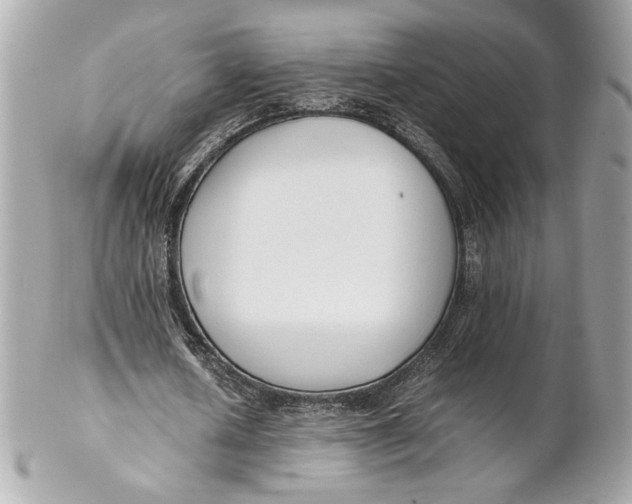 X0000102250626200808151818