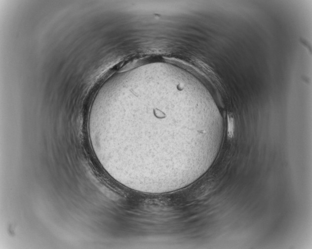 X0000102250627200808151818