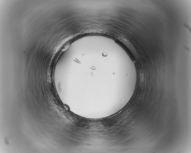 X0000102250628200808151818