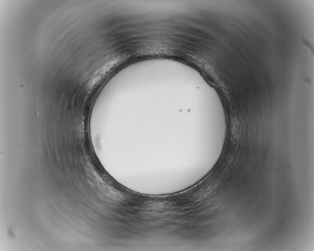 X0000102250629200808151818