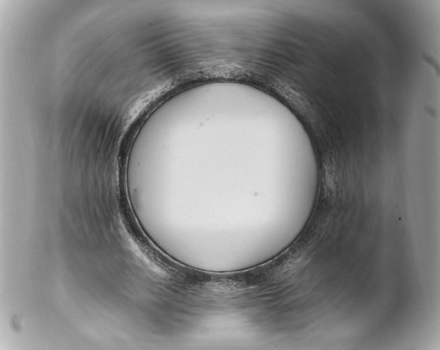 X0000102250630200808151818