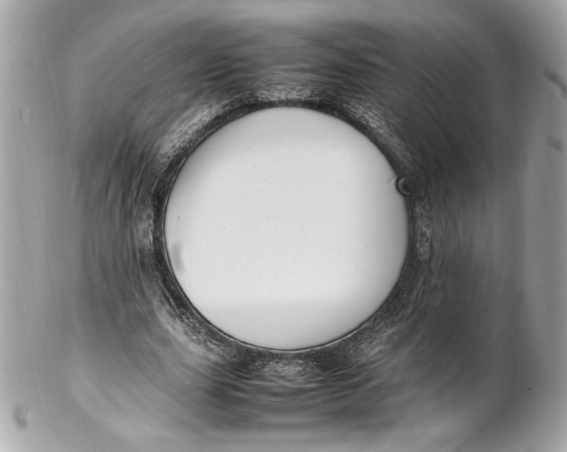 X0000102250631200808151818