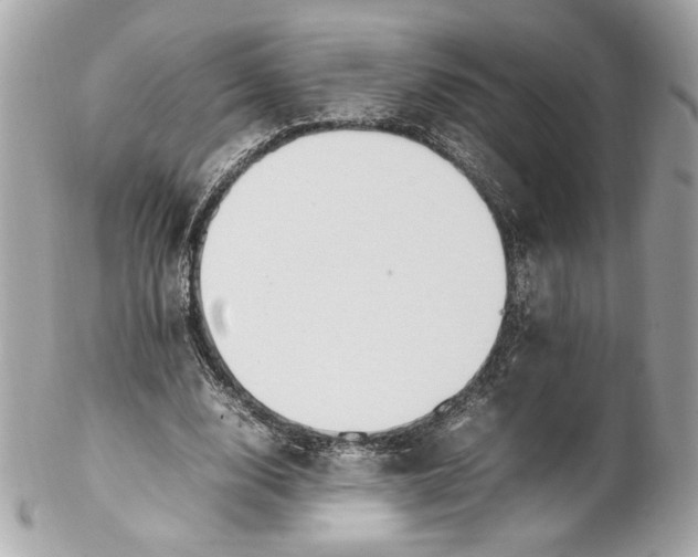 X0000102250632200808151818