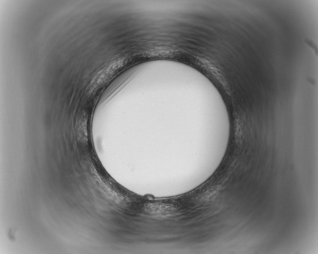 X0000102250633200808151818