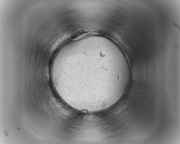 X0000102250634200808151818