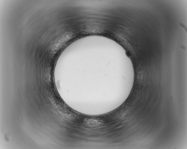 X0000102250635200808151818