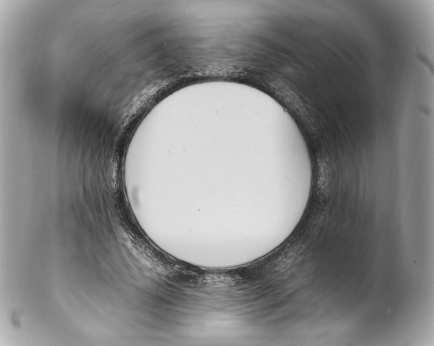 X0000102250636200808151818