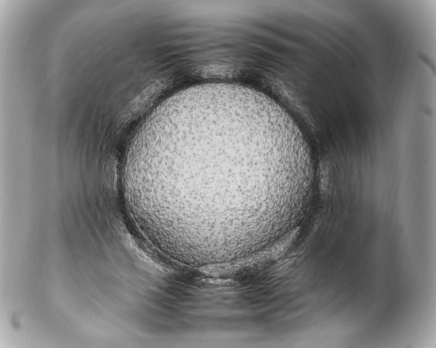 X0000102250637200808151818