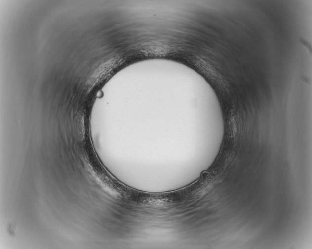 X0000102250638200808151818