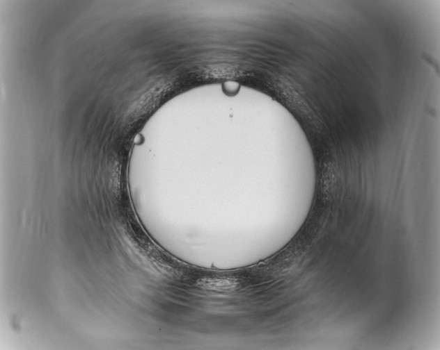 X0000102250639200808151818