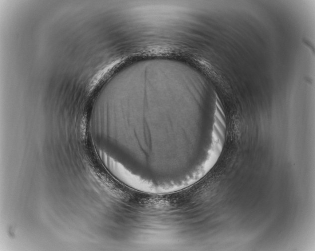 X0000102250640200808151818