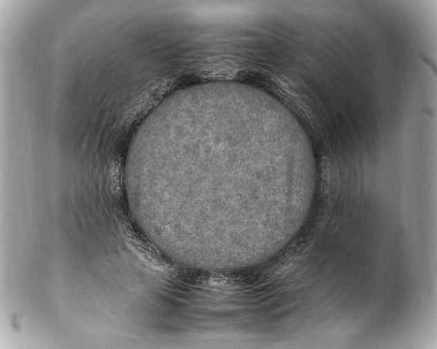 X0000102250641200808151818