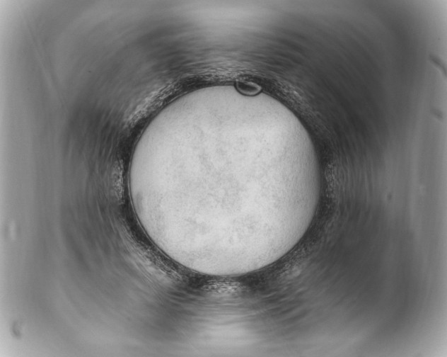 X0000102250642200808151818