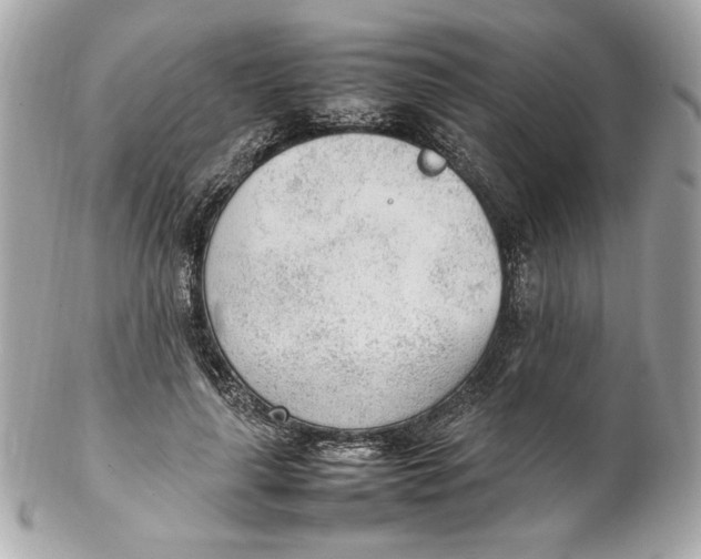 X0000102250643200808151818