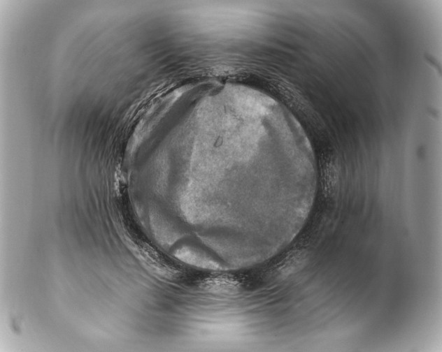 X0000102250644200808151818