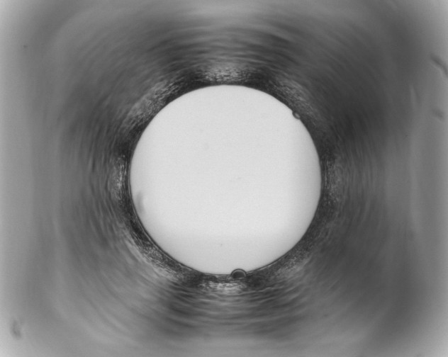 X0000102250645200808151818