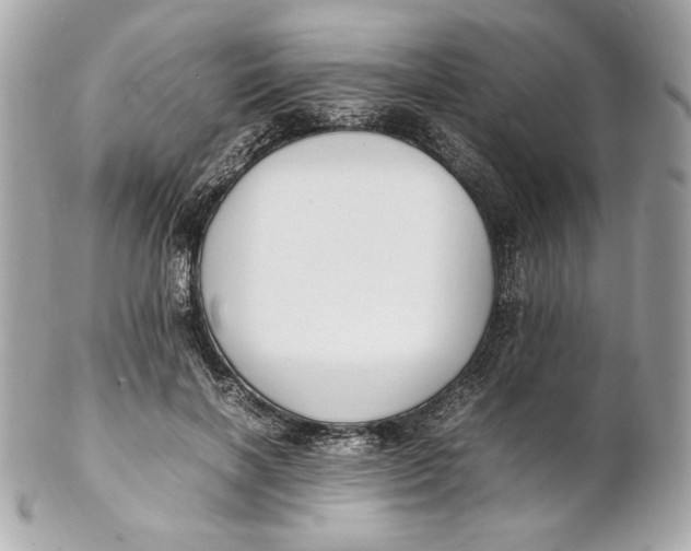 X0000102250646200808151818