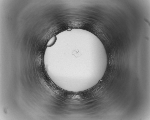 X0000102250647200808151818