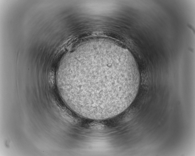 X0000102250648200808151818