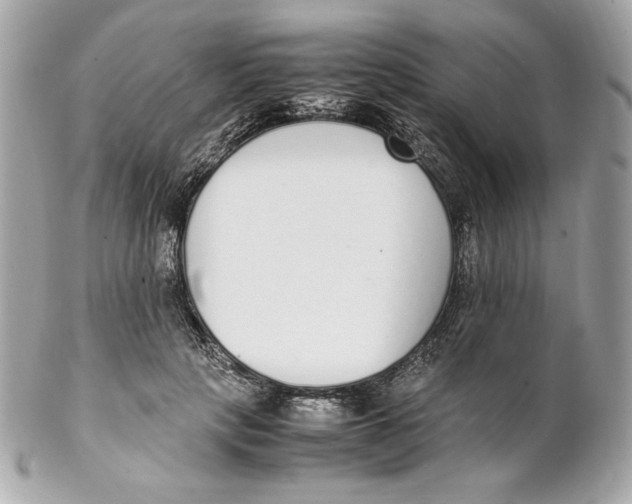 X0000102250649200808151818