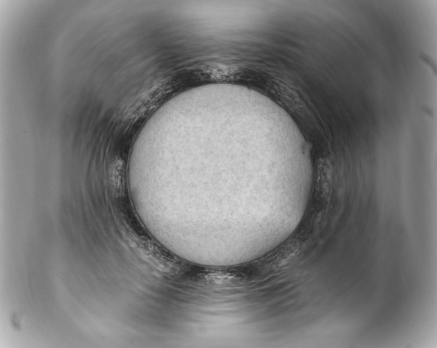 X0000102250650200808151818