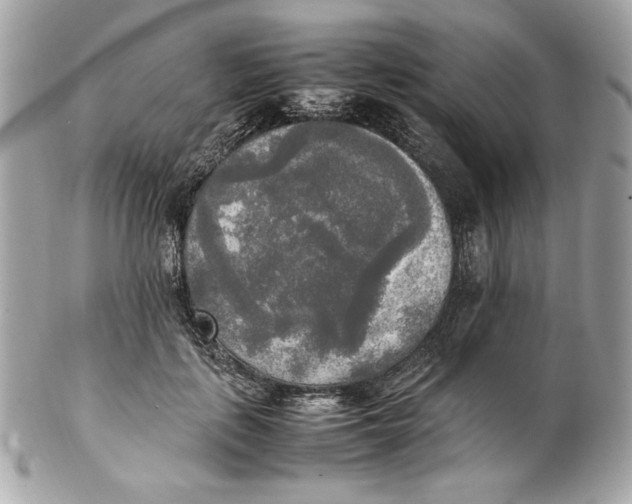 X0000102250651200808151818