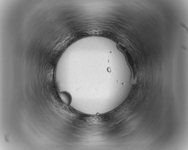 X0000102250652200808151818