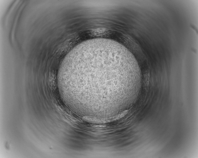 X0000102250653200808151818