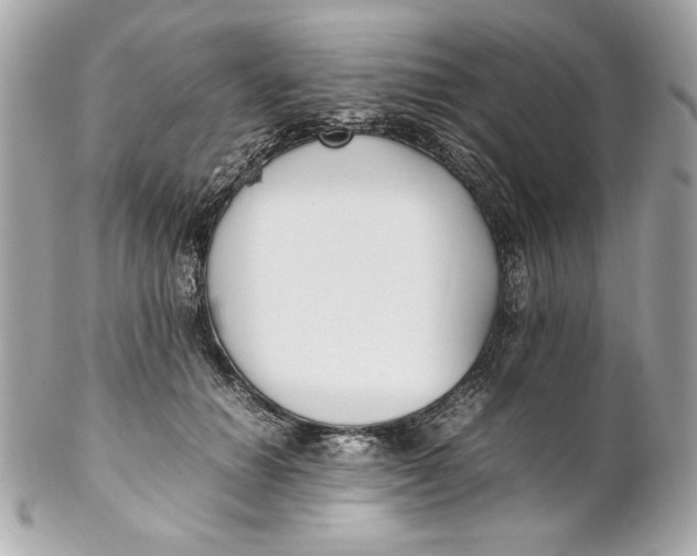 X0000102250654200808151818