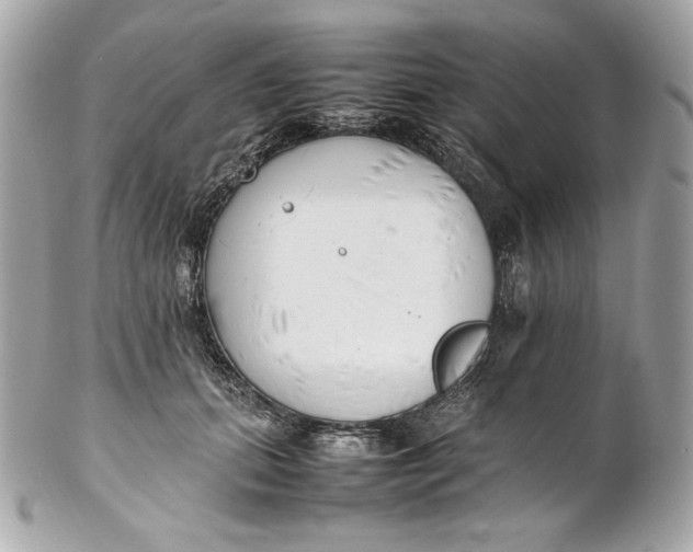 X0000102250655200808151818