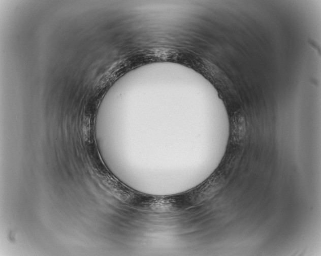 X0000102250656200808151818