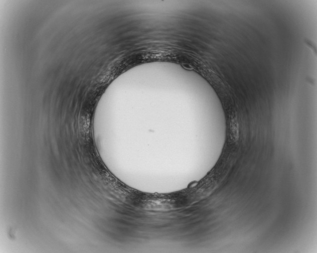 X0000102250657200808151818