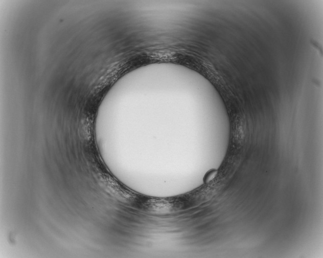 X0000102250658200808151818