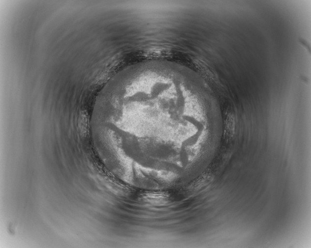 X0000102250659200808151818