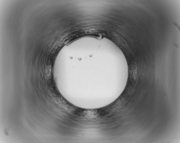 X0000102250660200808151818