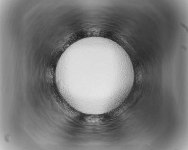 X0000102250661200808151818